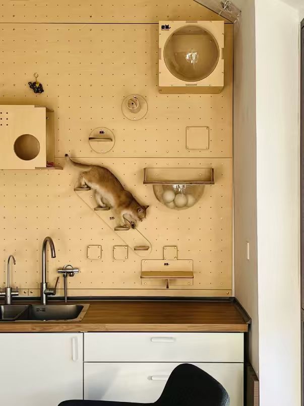 适我(wo)并适它，人(ren)寵共居的(de)理(li)想傢(jia)，到(dao)底什麽樣？