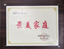 最美傢(jia)庭獎章